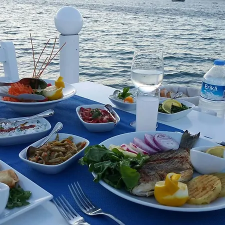 Fiko Göltürkbükü