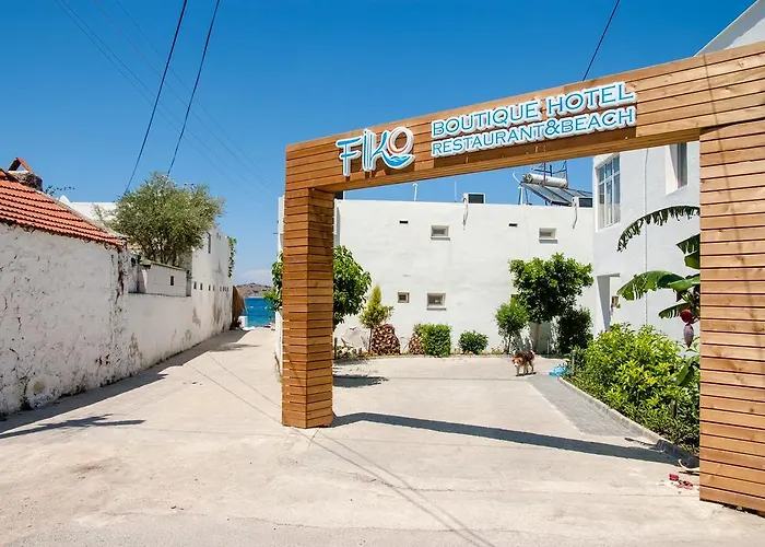 Fiko غولتوركبوكو