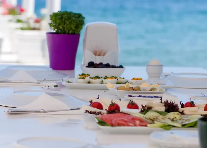 Fiko غولتوركبوكو