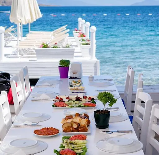 فندق مبيت وإفطار Fiko *